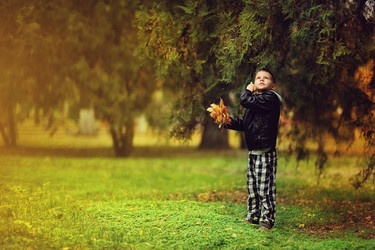 Similar image 5525962