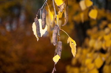 Similar image 5525985