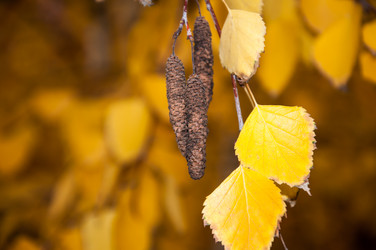 Similar image 5525986