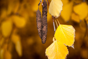 Similar image 5525988