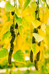 Similar image 5526007