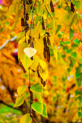 Similar image 5526008