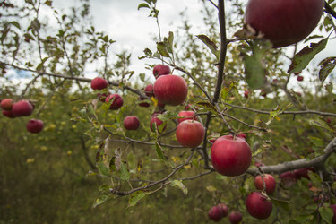 Similar image 5526016