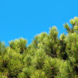 Similar image 5526029