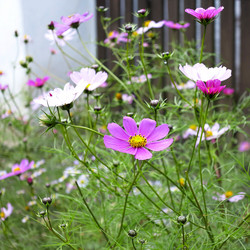 Similar image 5526061