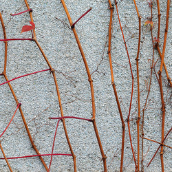 Similar image 5526065