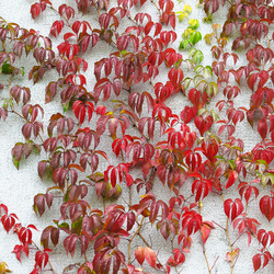 Similar image 5526066