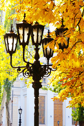 Similar image 5526068