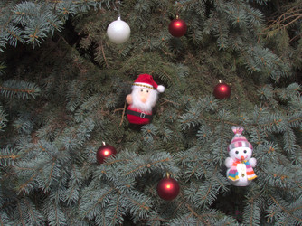 Similar image 5526111