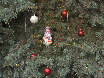 Similar image 5526112