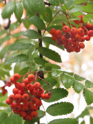 Similar image 5526114