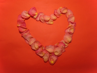 Similar image 5526148