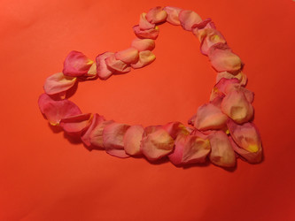 Similar image 5526149