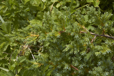 Similar image 5526280