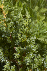 Similar image 5526281