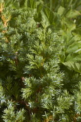 Similar image 5526282