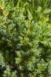 Similar image 5526330