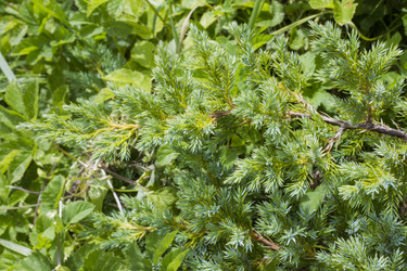 Similar image 5526331