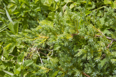 Similar image 5526332