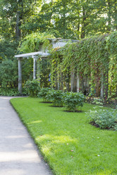 Similar image 5526338