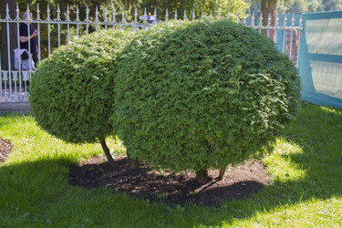 Similar image 5526339