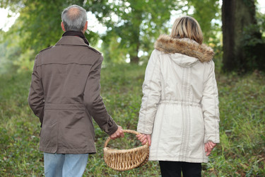 Similar image 5526543