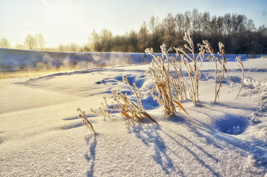 Similar image 5526689