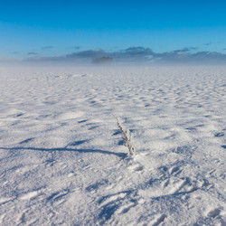 Similar image 5526732