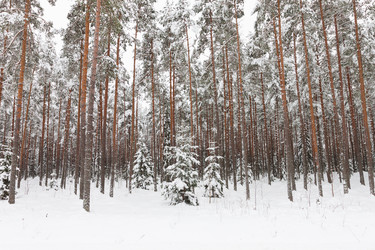 Similar image 5526733