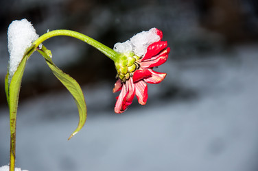 Similar image 5526794