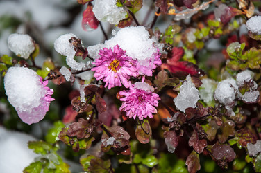 Similar image 5526797