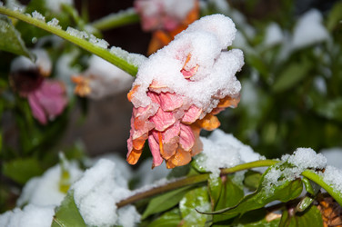 Similar image 5526800