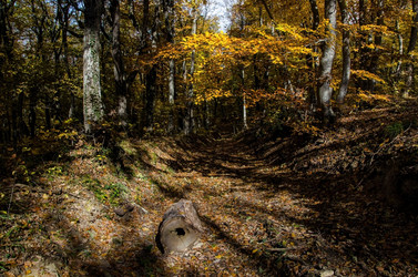 Similar image 5527067