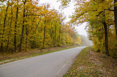 Similar image 5527070