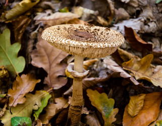 Similar image 5527076