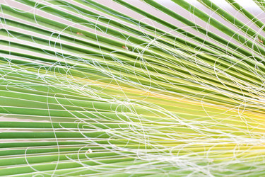 Similar image 5527084