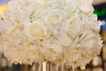 Similar image 5527184