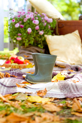 Similar image 5527206