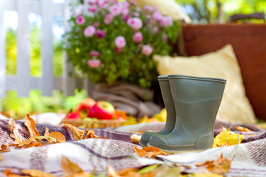 Similar image 5527215