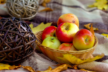 Similar image 5527216