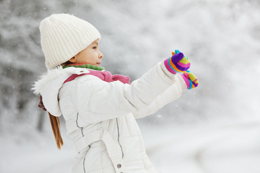 Similar image 5527334