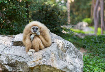 Similar image 5527373