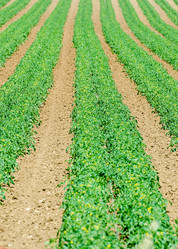 Similar image 5527749