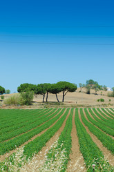 Similar image 5527752