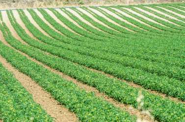 Similar image 5527762