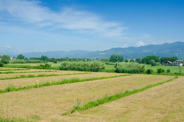 Similar image 5527765