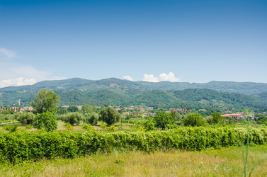 Similar image 5527766