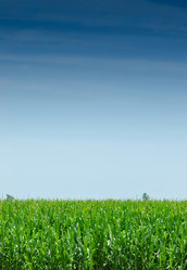 Similar image 5527767