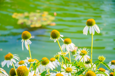 Similar image 5527852