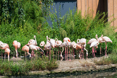 Similar image 5528012